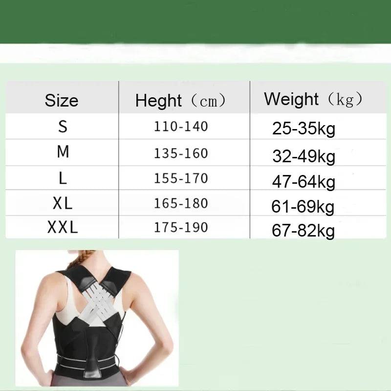 Adult Posture Corrector Belt 