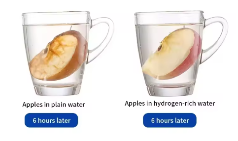 Rich Hydrogen Water Cup